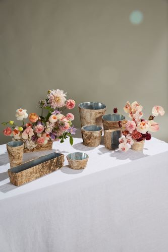 birchcollectionwithzinc_1_